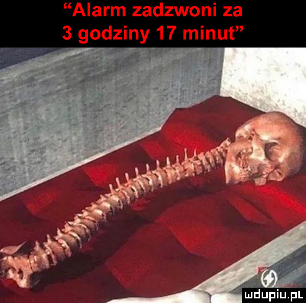 alarm zadzwoni za   godziny    minut i mdupiepl