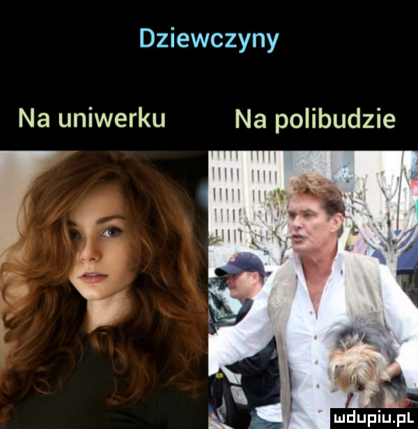 dziewczyny na uniwerku na polibudzie