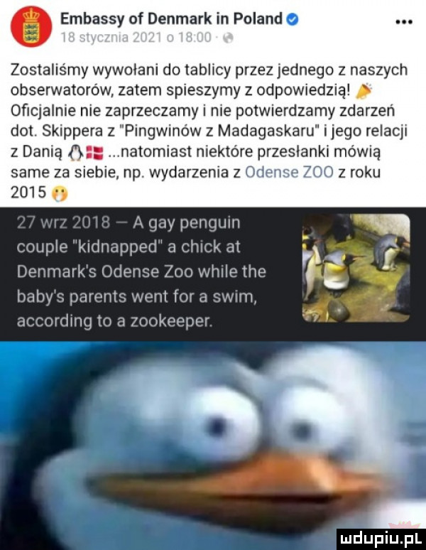 embassy of denmark in poland o zostaliśmy wywołani do tablicy przez jednego z naszych obserwatorów zatem spieszymy z odpowiedzią oficjalnie nie zaprzeczamy i nie potwierdzamy zdarzeń dat skippera z pirigwinów z madagaskaru ijego relacji   d nią natomiast niektóre przemianki mówią same za siebie np. wydarzenia z oden     z roku      i i my pvnqum chupie kidnapped a chick ji danmarks odense zoo whileihe babi   parents wml for a sci lin. jizcrirdiiig tri n ookoodof