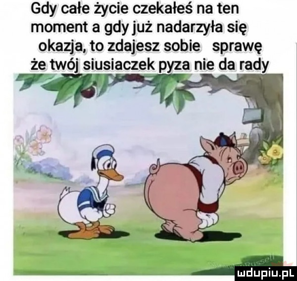 gdy całe życie czekałeś na ten moment a gdyjuż nadarzyła się okazja. to zdajesz sobie sprawę że twój siusiaczek pyza nie da rady