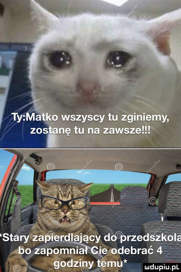 ty matko wszyscy tu zginiemy zosine tu na zawsze stéry zapierdlający dóśbrzedśźikóia bo zapomnia je odebrać    godziny temu adiu pl