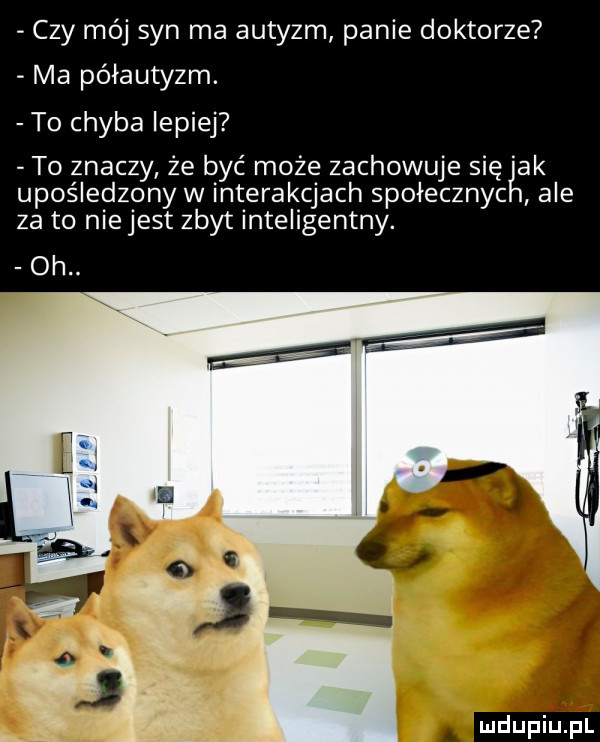 czy mój syn ma autyzm panie doktorze ma półautyzm. to chyba lepiej to znaczy że być może zachowuje się ak upośledzony w interakcjach spoiecznyc ale za to niejest zbyt inteligentny