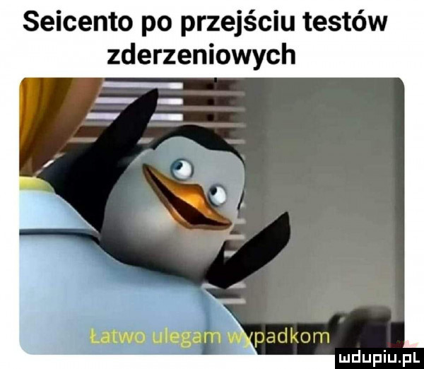 seicento po przejściu testów zderzeniowych łatwo ulegam. packom