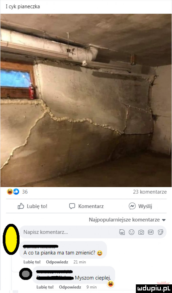 uj mmm d mmmm nr uaymmnm. msn   h m a o ta pianka ma tam zmien e luhietu udpawiedz. myszom mime lubiem  ddu i d