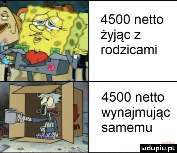 netto żyjąc z rodzicami      netto wynajmując samemu