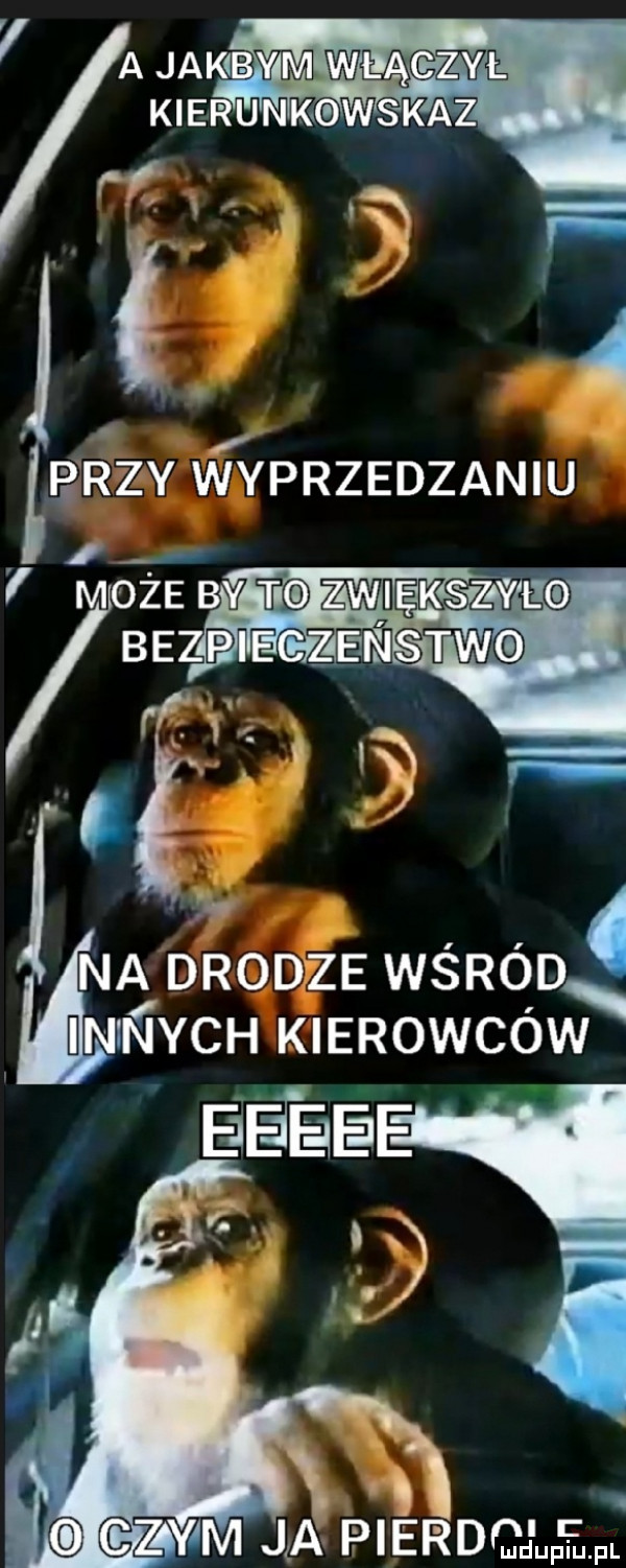zyjm jła pierdqłłpl