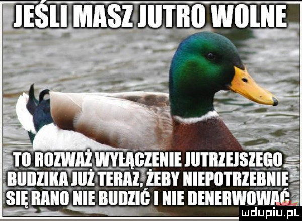i iiiiiwazwyęgzeiiie iii iiizeisieeii lbllillika lllżg i ellll. żeby iiiei ii iiiieiiiiie  się iiiiiiii icie iiiiiiliii i iii iieiiebwiiwiśe mm ludupiu. pl