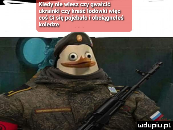kiedy nie wiesz czy gwałcić ukrainkl czy kraść lodówki więc coś cl się pojebala i obclągnełeś koledze