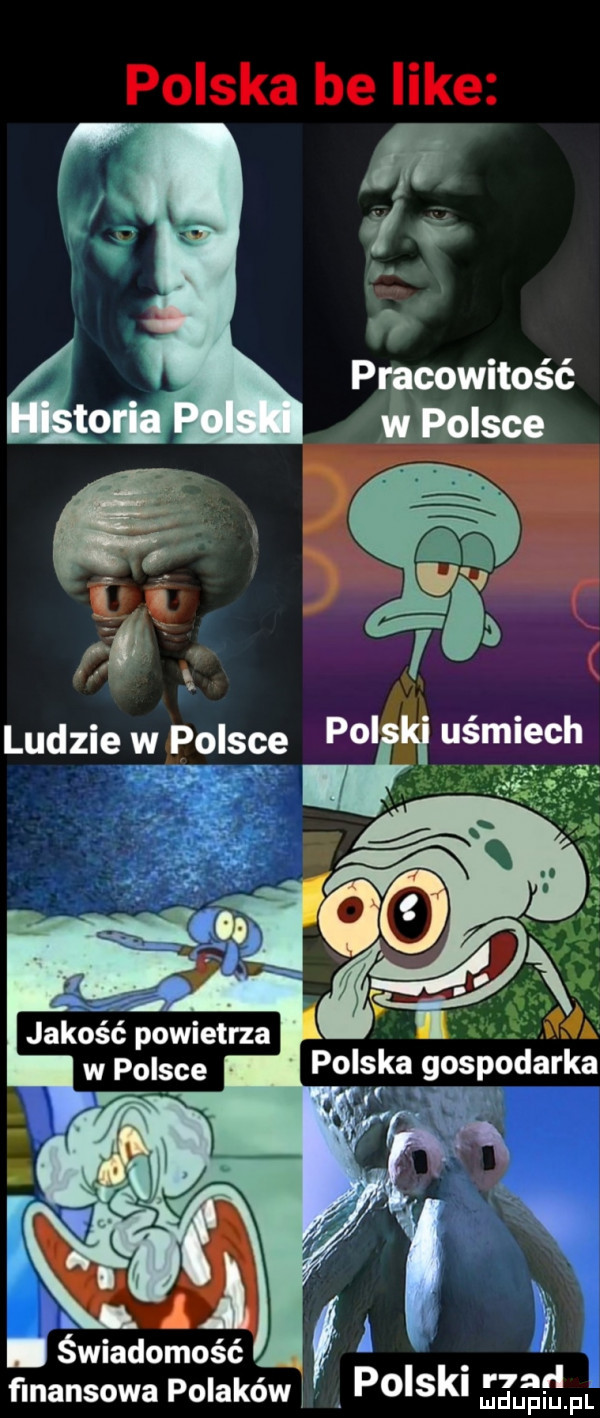 ti cowitość l świadomość fmansowa polaków poiskl ęzśfśfl