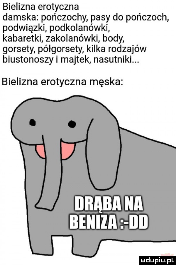 bielizna erotyczna damska pończochy pasy do pończoch podwiązki podkolanówki kabaretki zakolanówki body gorsety półgorsety kilka rodzajów biustonoszy i majtek nasutniki. bielizna erotyczna męska baba na benita il l ludu iu. l