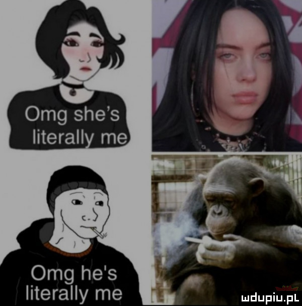literalny me