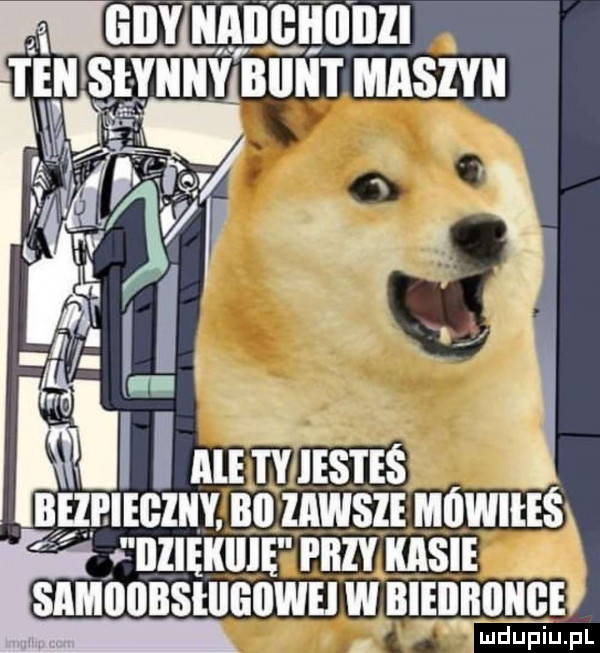 giby iiiiiiiiiiiiiiii teiishiiiiyibiiiit maszyn i i igle tyiesteś bezpieczny bl liiwsle miiwiees iiiieiiiiie przy kasie simoiiiiseiigiiwei w iiieiiiiiiiiqe mdupiu. pl