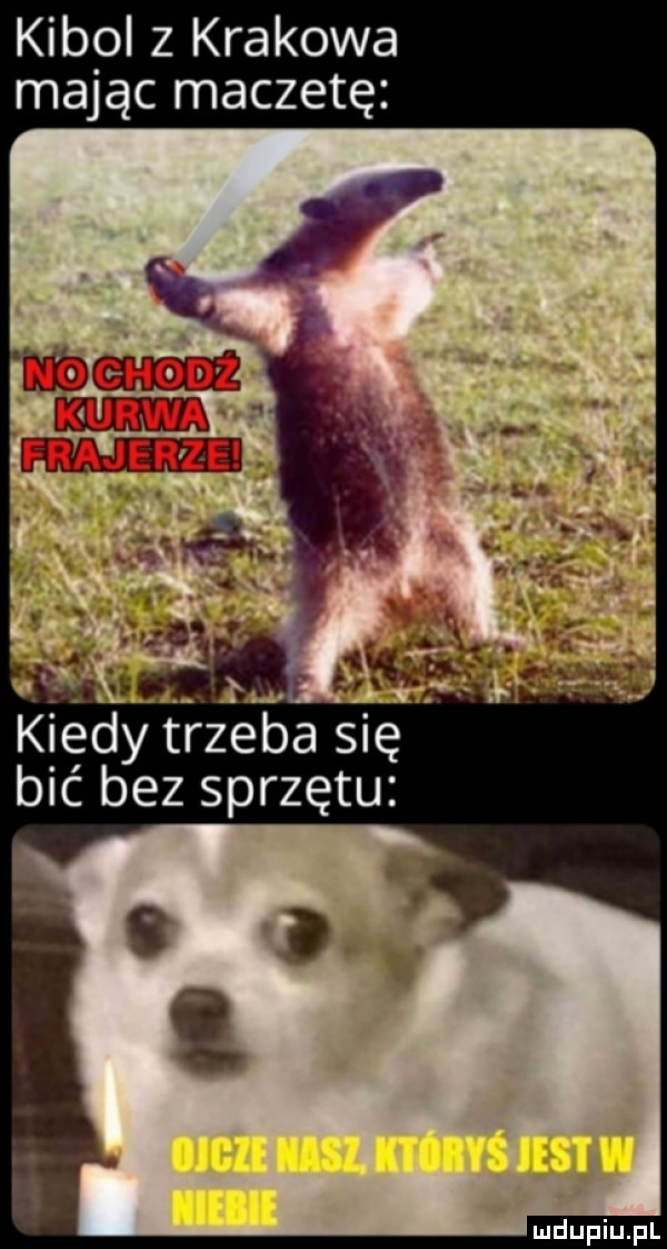 kibol z krakowa mając maczetę kiédy trzeba się bić bez sprzętu