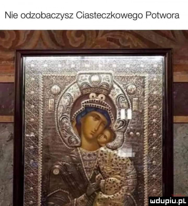 nie odzobaczysz ciasteczkowego potwora wx nin. a nux