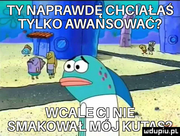winiawe we aws gay