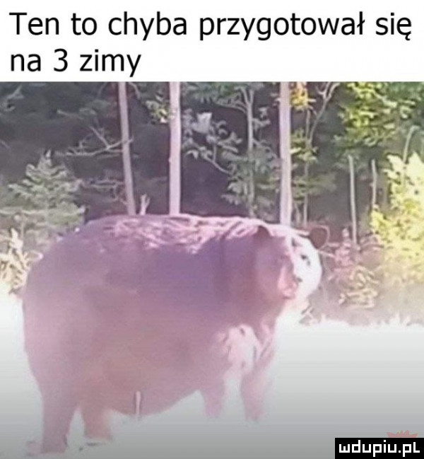 ten to chyba przygotował się na   zimy h