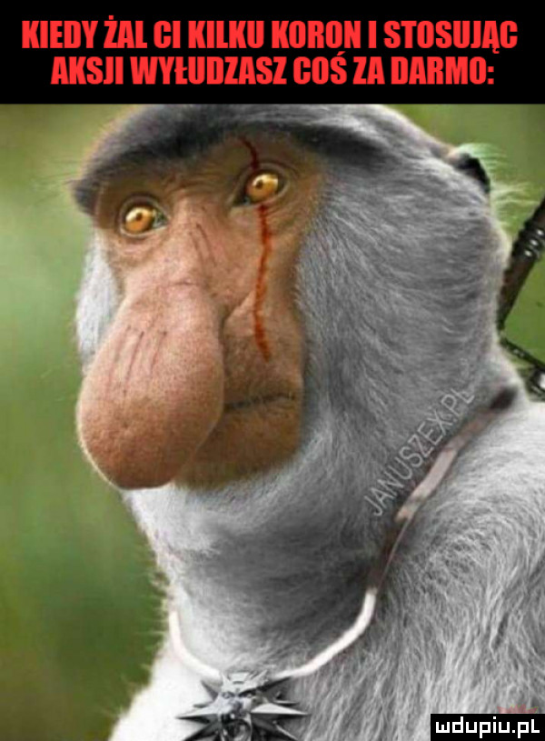 kieiiy żal gi il ll kllllllll i s i iisiiiag aksli wyłllillasl geiś ia iiabmii