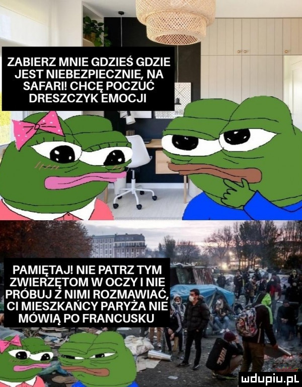zabierz mnie gdzieś gdzie i jest niebezpiecznie na i safari chcę poczuc dreszczyk emocji p pamiętaj nie patrz tym zwierzętom w oczy i nie    próbuj z nimi rozmawiac cl mieszkancy paryża nie     mówią po francuskult i niziijvfiiijfl