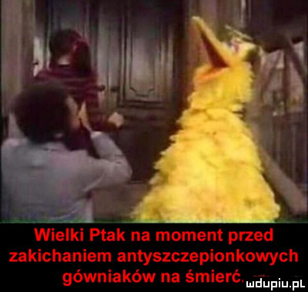 wielki ptak na moment przed zakichaniem antyszczepionkowych gownlakow na smlerc