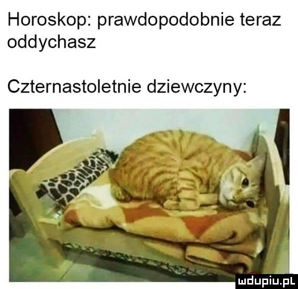 horoskop prawdopodobnie teraz oddychasz czternastoletnie dziewczyny j ludupilrpl