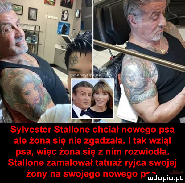 Obrazek