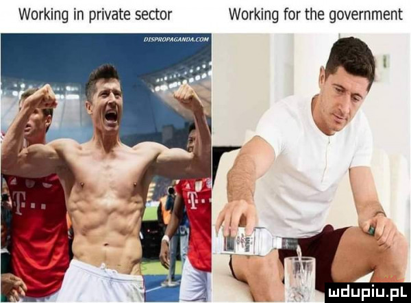 working in private sektor working for tee government