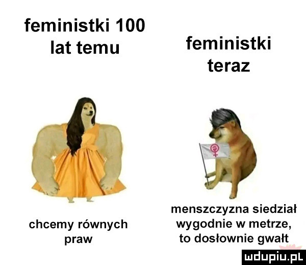 feministki     lat temu feministki teraz menszczyzna siedział chcemy równych wygodnie w metrze praw to dosłownie gwałt ludu iu. l