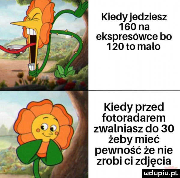 kiedyjedziesz     na ekspresówce bo     to mało kiedy przed fotoradarem zwalniasz do    żeby mieć pewność że nie zrobi ci zdjęcia