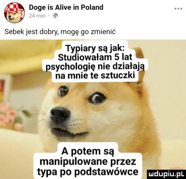 doje is alice in poland a sobek jest dobry mogę go zmienić typiary sojak studiowałam   lat. sychologię nie działaj bo na mnie te sztuczki a potem są manipulowane przez typa po podstawowce
