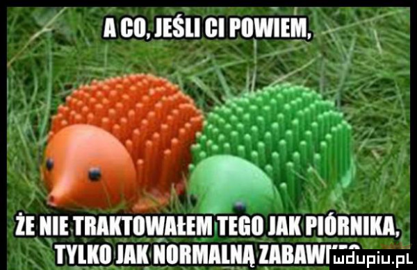 acmlmlclrnwim. x v x x ileś fv. p że ie thiktiwqihm tegii mk i mllllﬂ. tylko idk iiiibimlm mbawil jupiupl