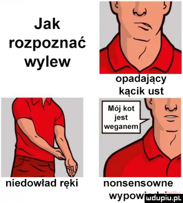 jak rozpoznać wylew opadający kącik ust mój kot jest wega nem nonsensowne vaowmmau