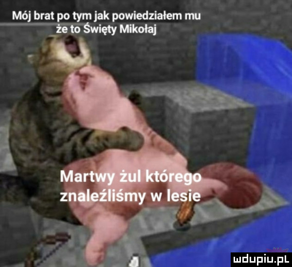 m  bm pitym jak povdedziaoemnu mm