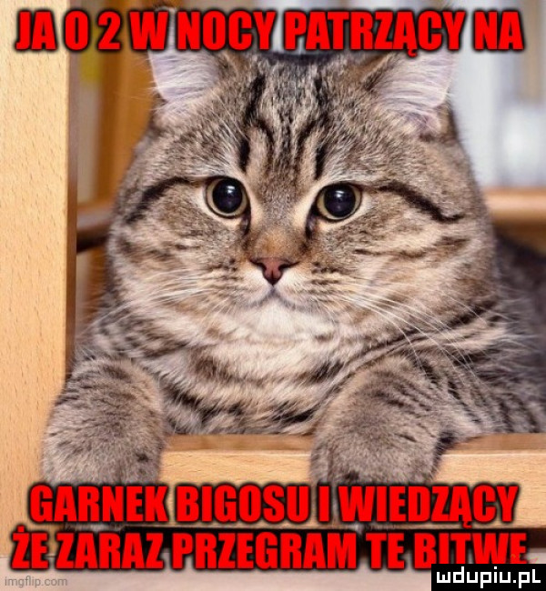 Obrazek