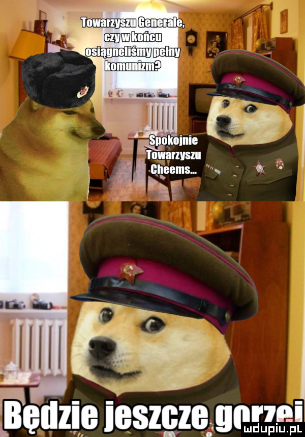 e i m vv   l l