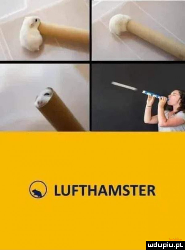 lufthamster