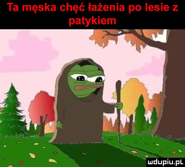 Obrazek