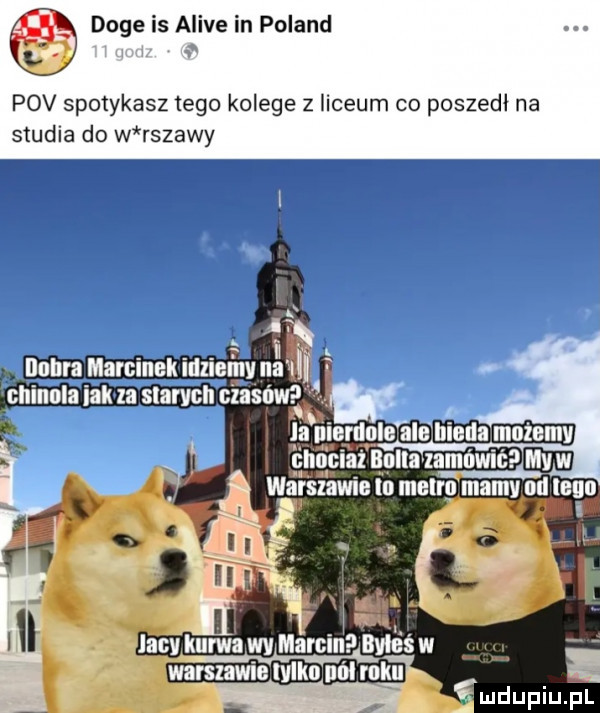 doje is alice in poland pcv spotykasz tego kolege z liceum co poszedł na studia do w rdzawy lacikurwa wv ma m iś w warszawie talku nó mk