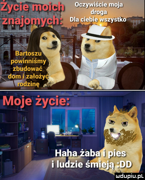 la map dlug powinniśmy x zbudować dom i założy mdzinę i