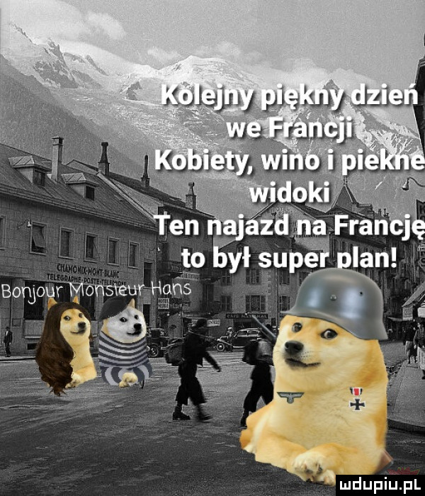 lłfjjąjuy plamy ida