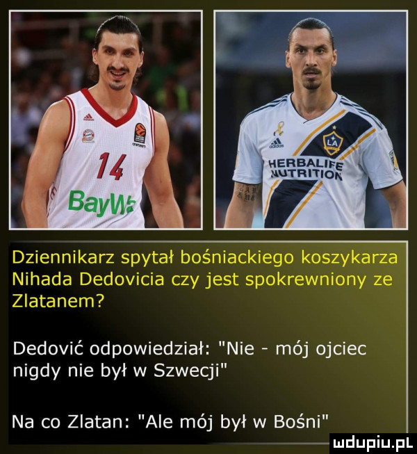 ijth dziennikarz spytał bośniackiego koszykarza nihada dedovicia czy jest spokrewniony ze zlatałem dedović odpowiedział nie mój ojciec nigdy nie był w szwecji na co zlatan ale méj był w bośni u upiu pl