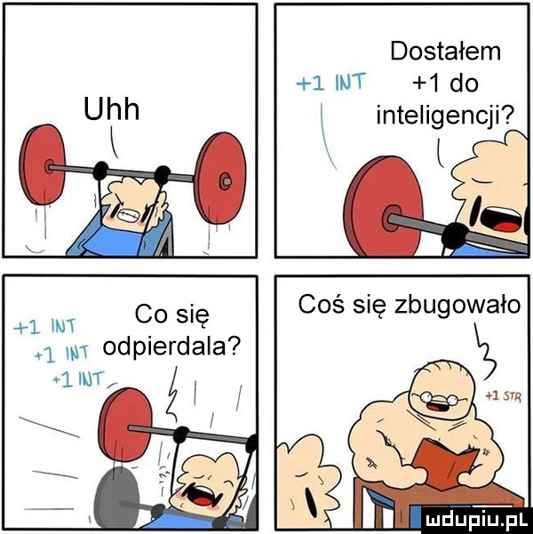 dostałem   nt   do inteligencji   m  gp sie   m odpierdala   nt i