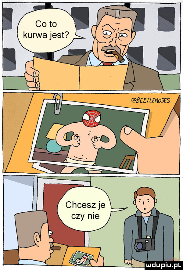chcesz je czy nie