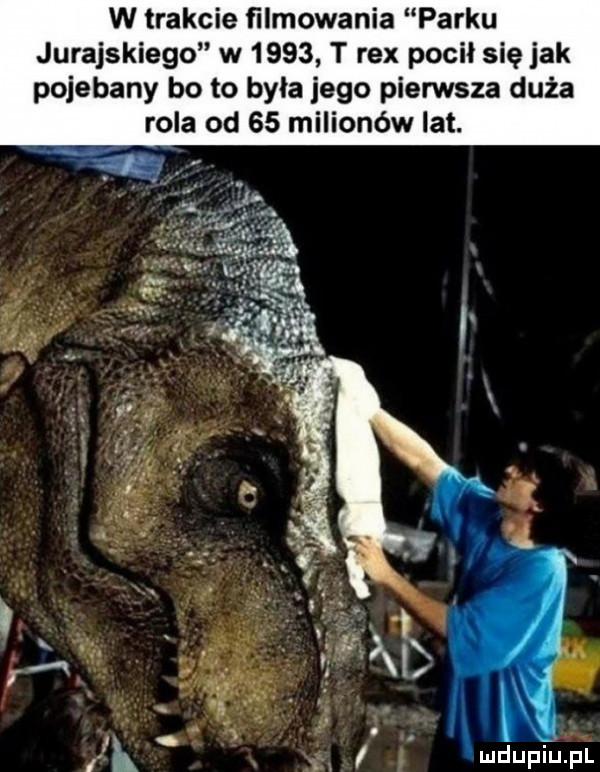 w trakcie filmowania parku jurajskiego w      t rex pocił się jak pojebany bo to byla jego pierwsza duża rola od    milionów lat