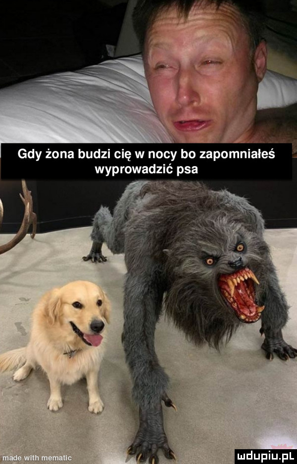 gdy żona budzi cię w nocy bo zapomniałeś wyprowadzić psa ludu iu. l