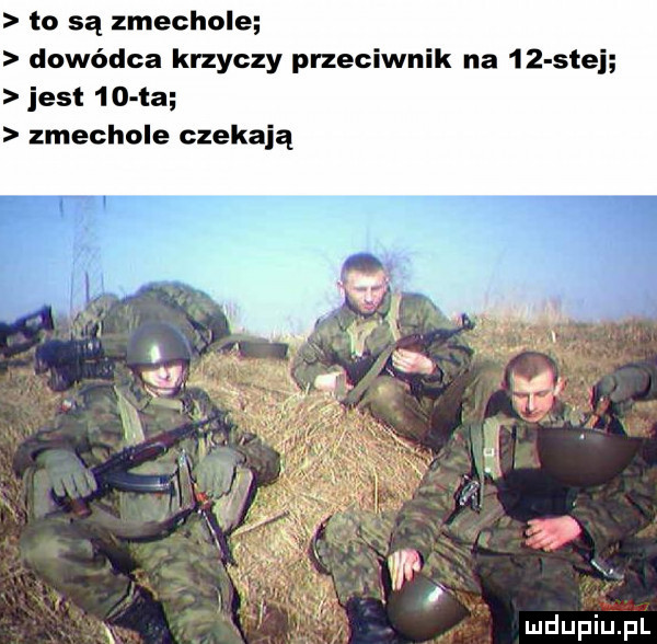 to są zmechole dowódca krzyczy przeciwnik na    siei jest    ła zmechole czekają o n