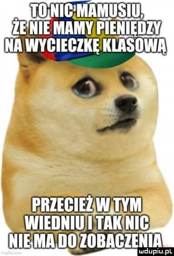 m ulcmmsm. z m mmama un wvcliczxgzmsow. kww wlinuluunmib m