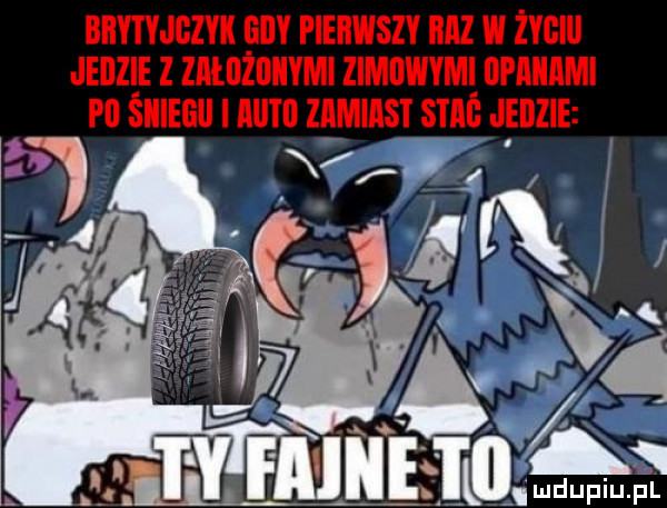 biiytyjgzyk iily pierwszy biz w życiu jedzie z leilleiiymi zimiiwym dpaiiami pi siiiegu all zamiast stóg jedzie