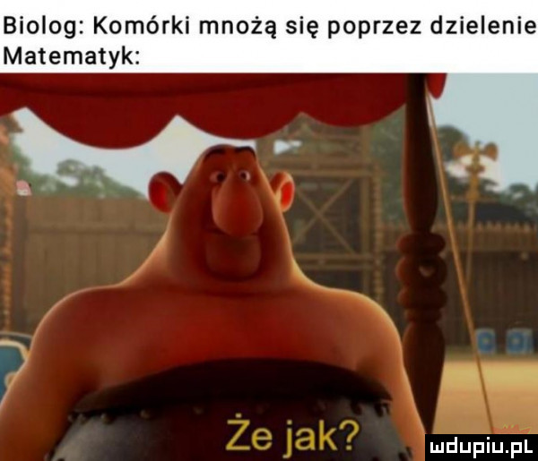 biolog komórki mnożą się poprzez dzielenie matematyk