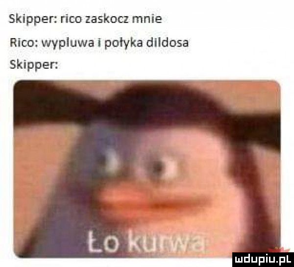 skipper raco zeskocz mnie raco wypluwa i połyka diidosa skipper mdupiuipl