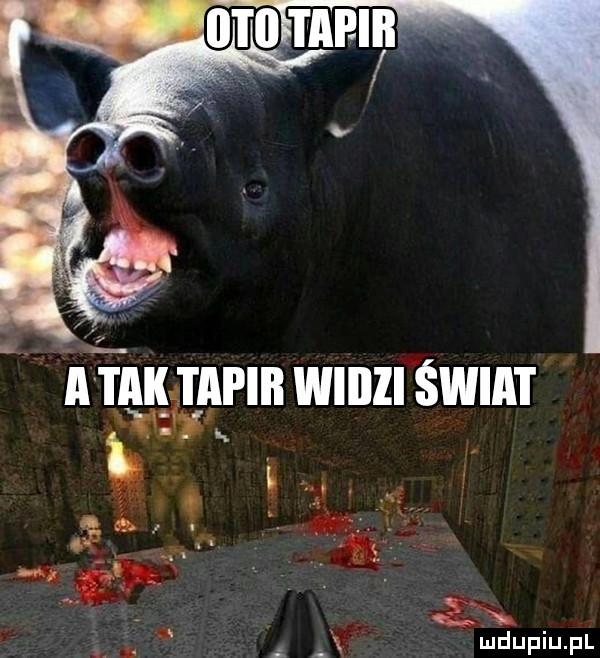 a tak r l afiił wiiizi świat xml o     w ﬂag     a